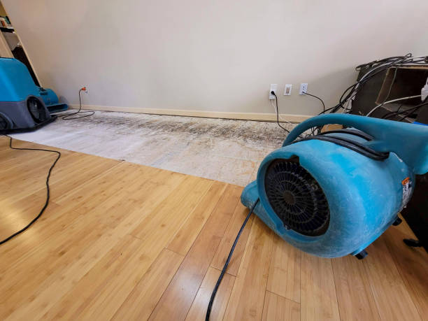 Professional Flood Damage Cleanup technician working in Castleton, VA